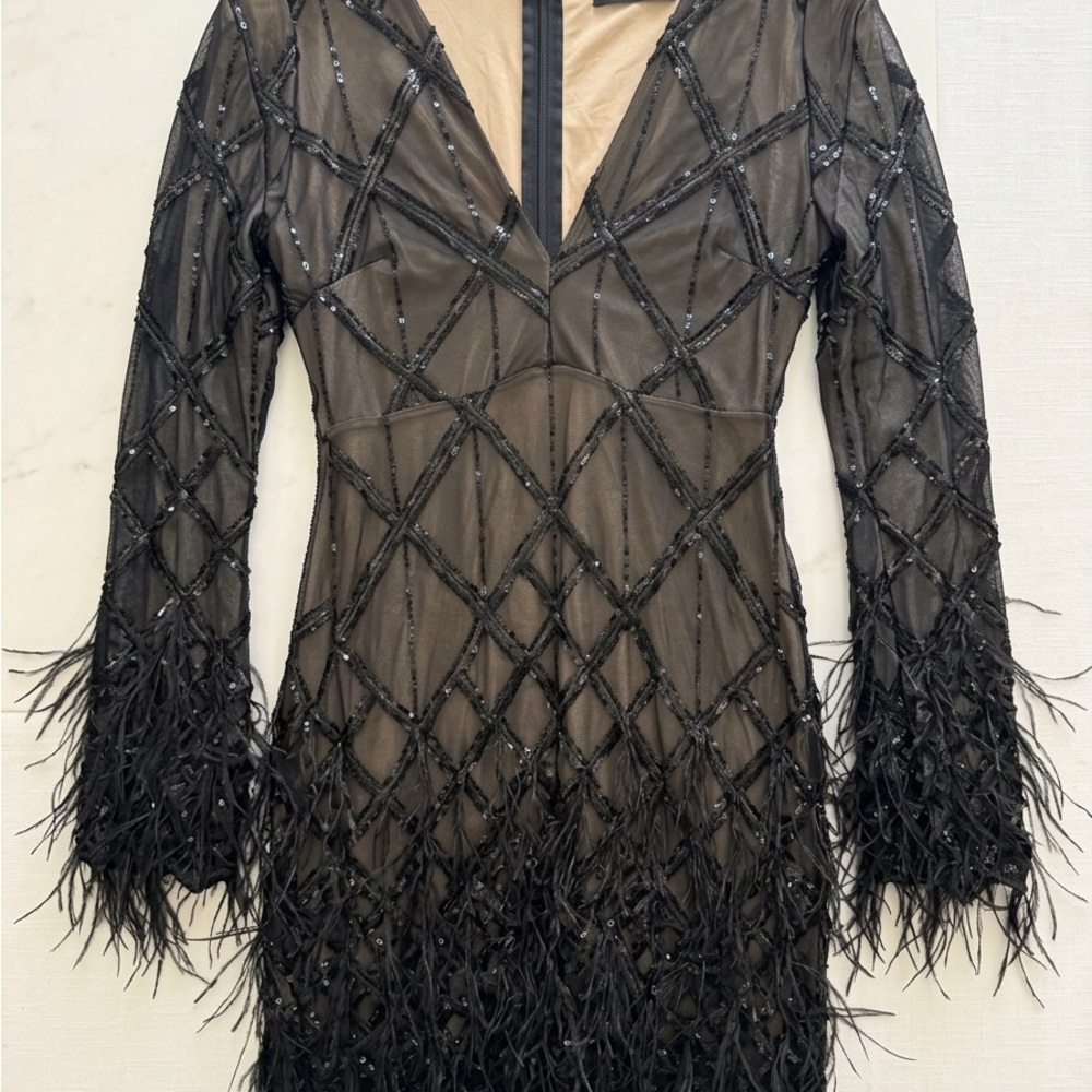 Chic Black Feathered Long Sleeve Dress